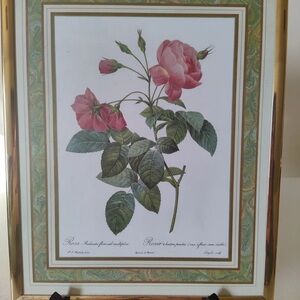 Pierre Joseph Redouté, Large French Botanical Framed Rose Print.
